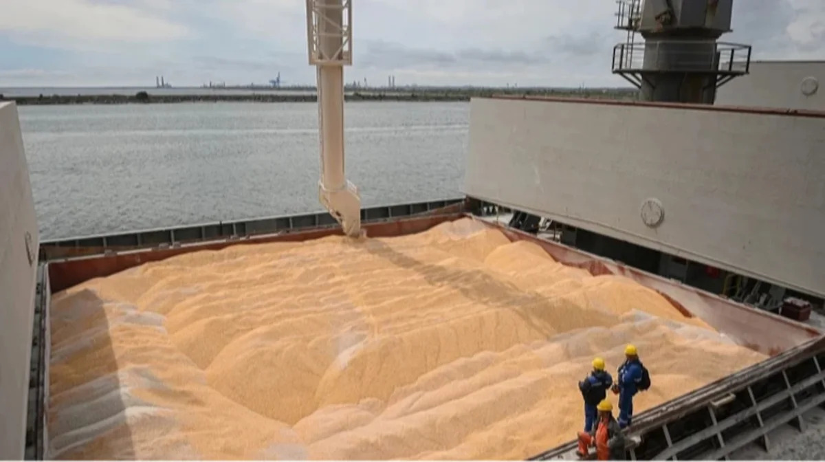 Global agricultural prices could rise by 30% due to blockade of Ukrainian ports &ndash; agriculture minister